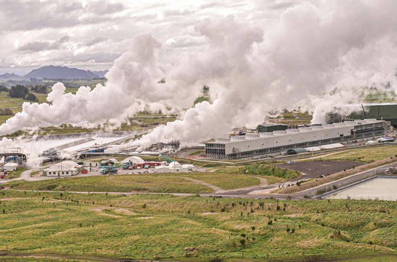 Contact leads NZX50 to five-month low