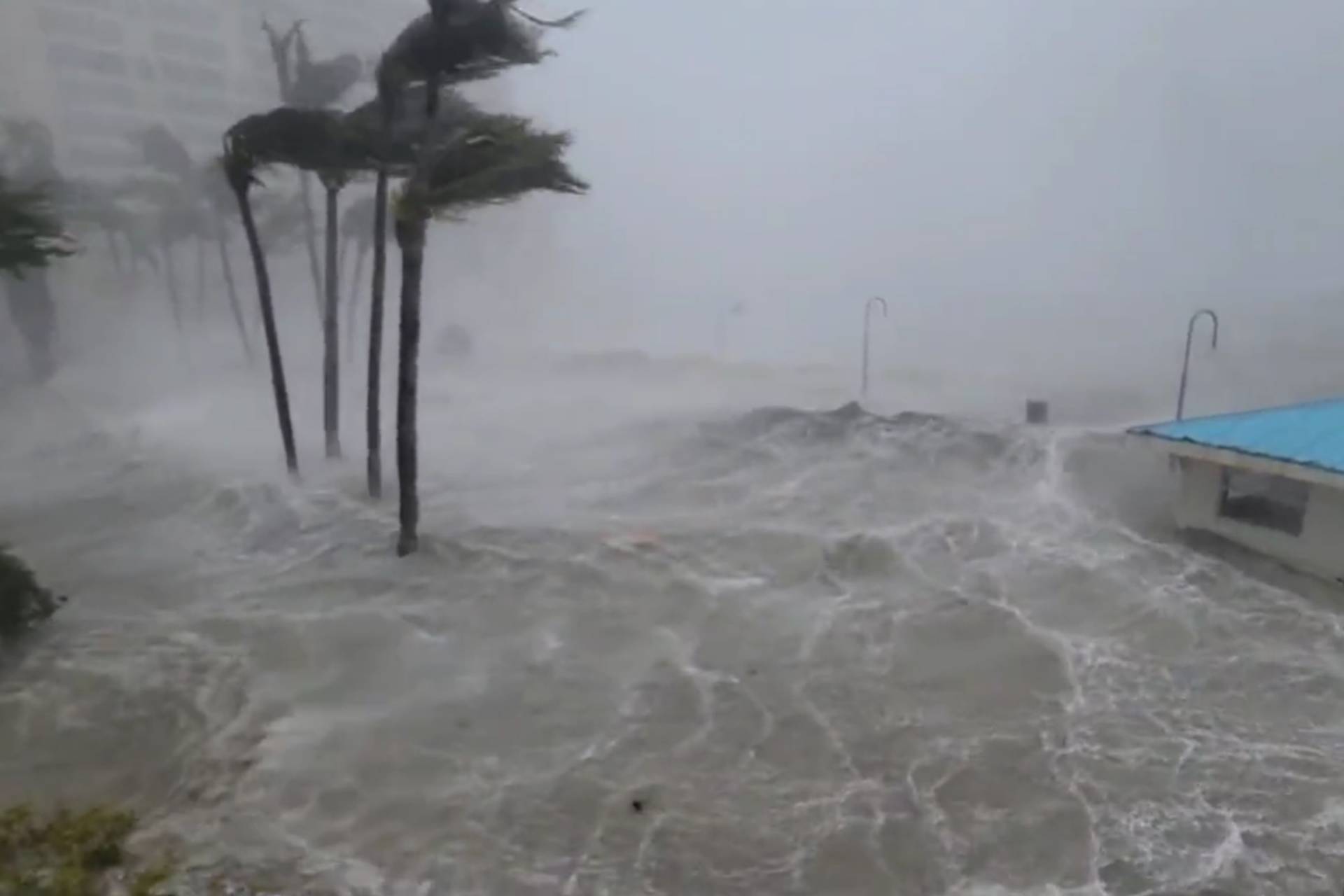 Hurricane Milton could be worst in 100 years; Koala corralled