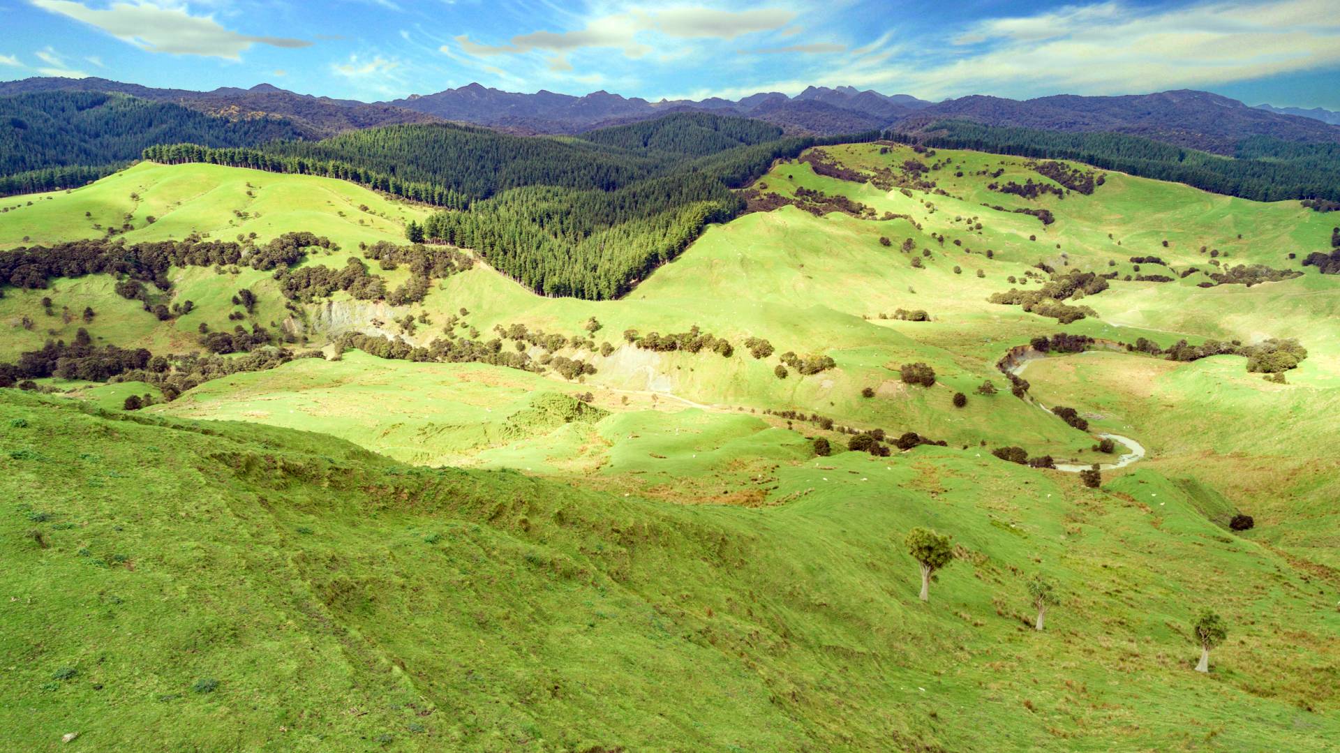 Sir Michael Fay sells Wairarapa station