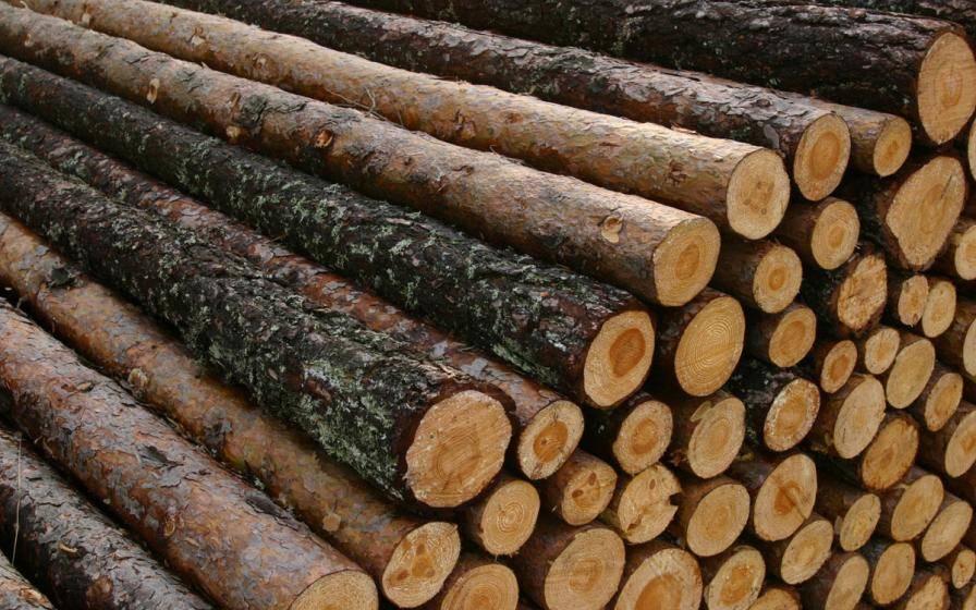 Ikea parent group shells out more than $134m on new forestry