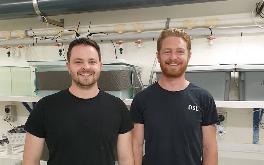 Keeping baby mussels alive wins acclaim