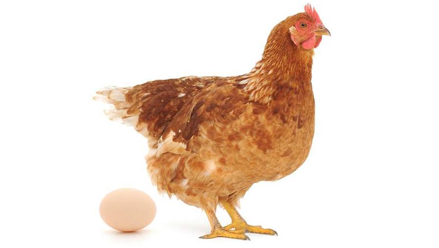 The investor relations flywheel