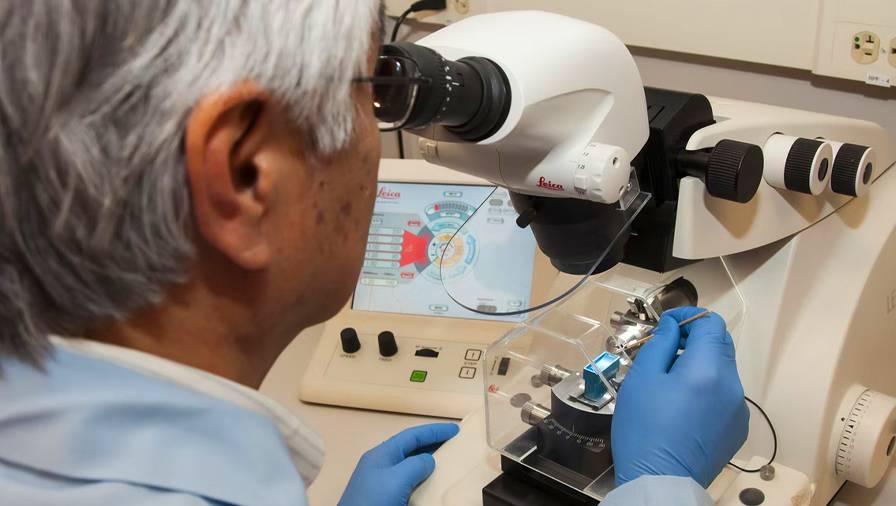 New Zealand’s IP shake-up: a bold experiment in trusting inventor