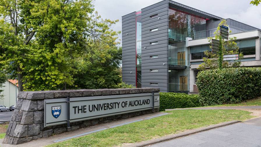 UoA beats the Aussies, topping rankings for most active startups