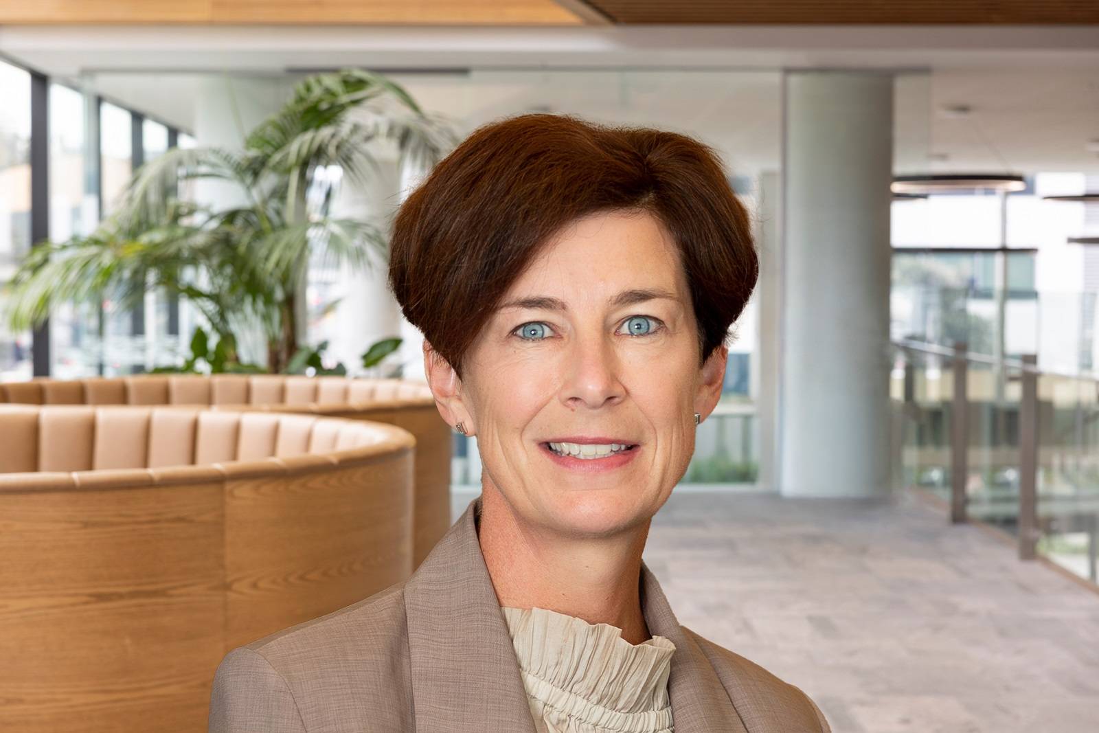 New director for insurer Southern Cross