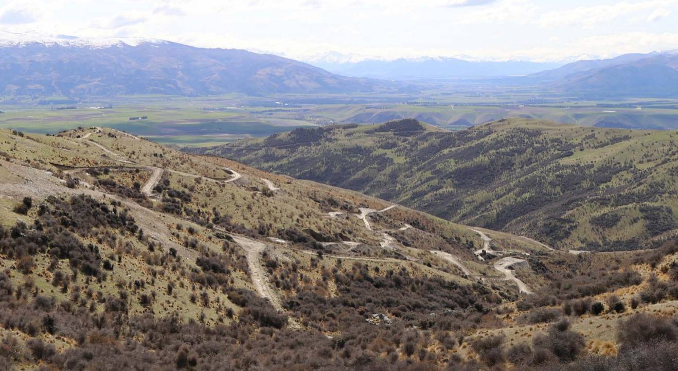 Santana shares hit amid concern over consent timeframe