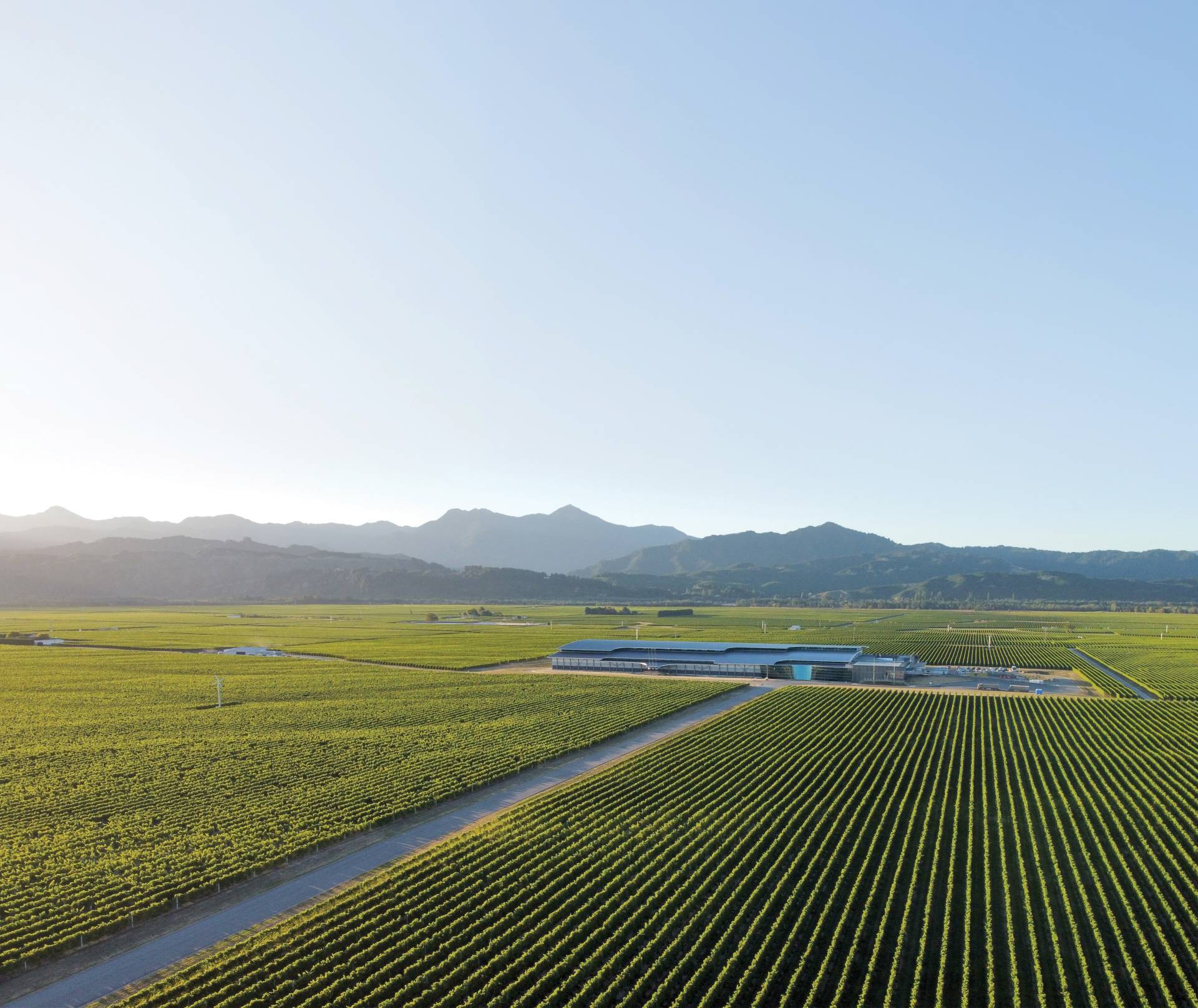 US tariffs in Delegat’s largest market bite into profits