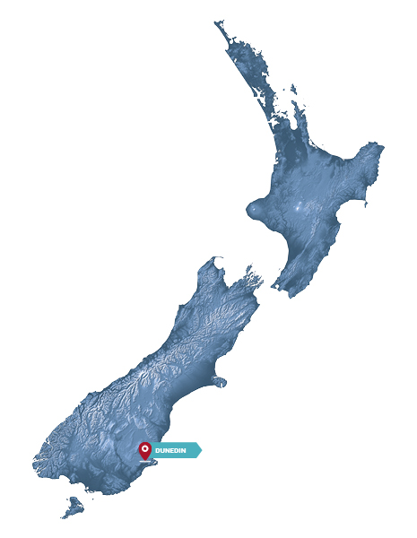 Dunedin map