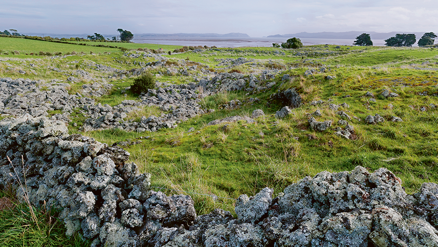 Otuatua stone field looking toward Manukau Heads.