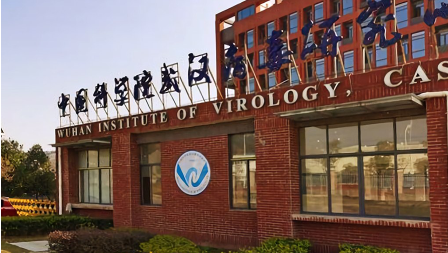 The Wuhan Institute of Virology is a suspect source of Covid-19. Photo: Ureem2805