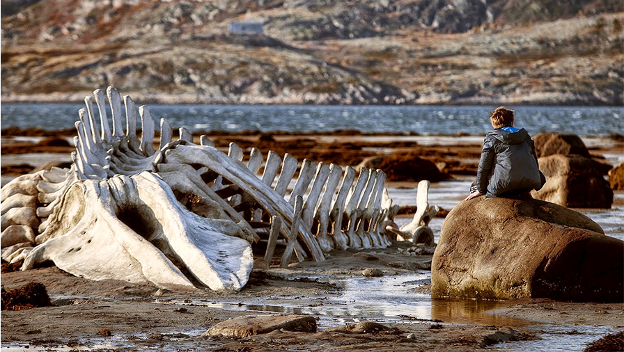 Sea monster skeleton in the Russian film “Leviathan’