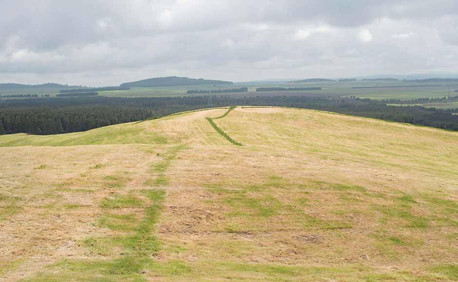 NZ farm group buys Lochinver Station