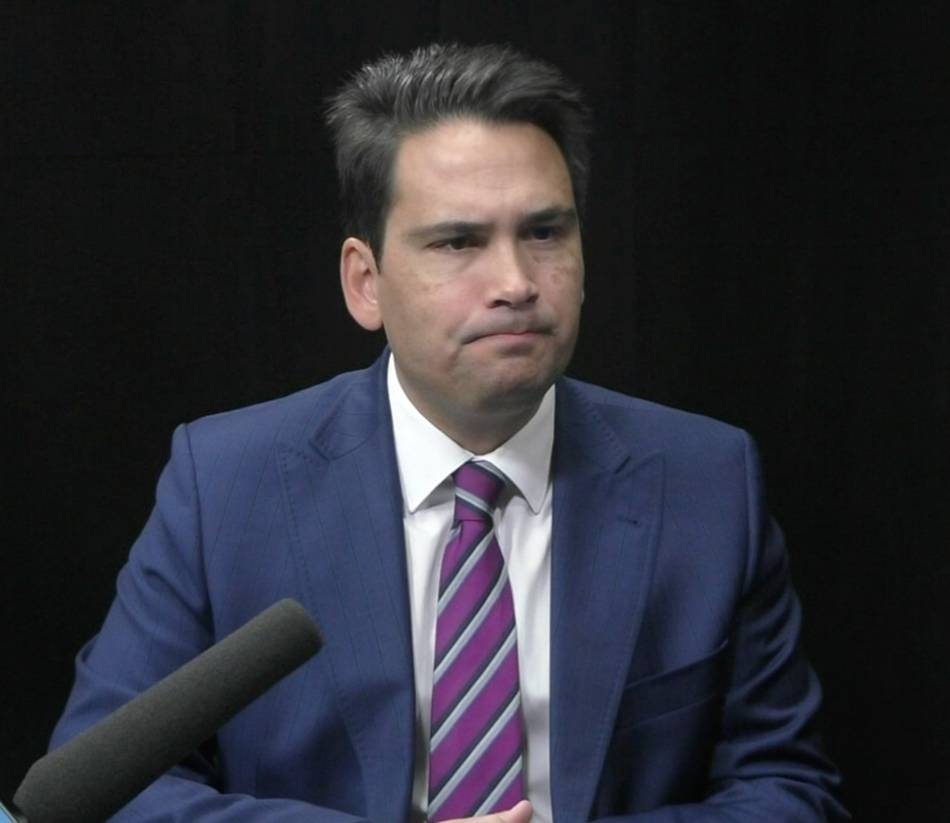 Simon Bridges suggests bipartisan approach to cow disease