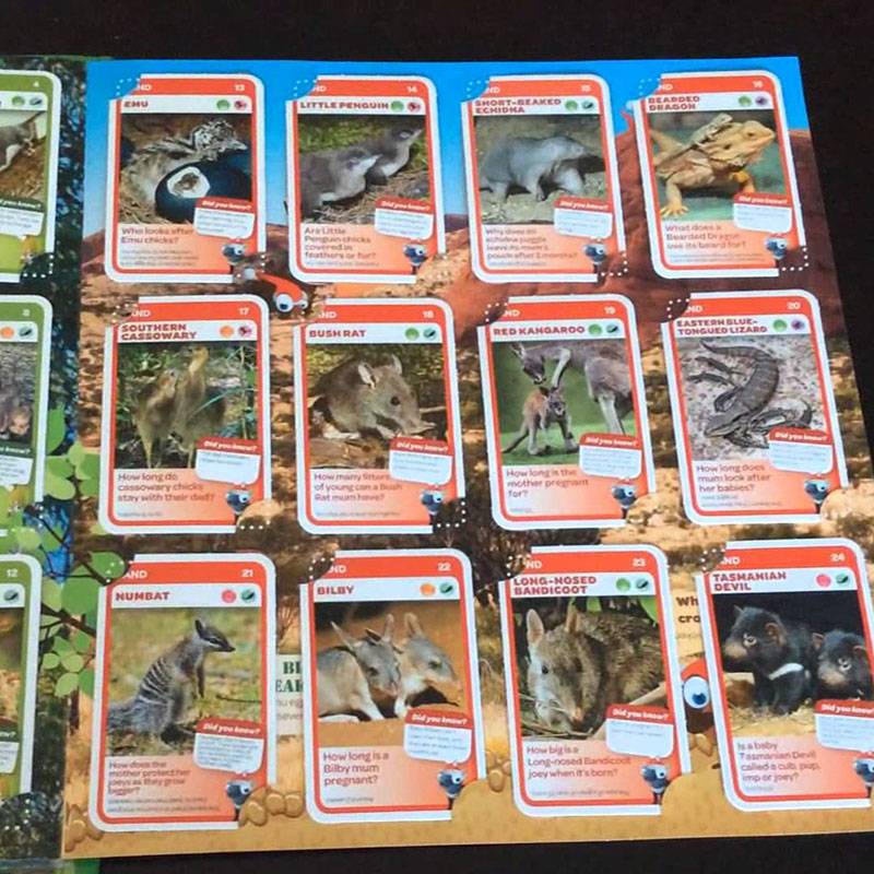 Super Animals’ new pecking order